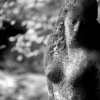 "Tagestraume Der Verlorenen Liebe"