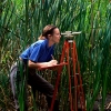 Wetlands Survey