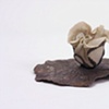 Urban Impression/Oceanic Bloom