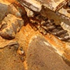 Whisperings (detail)