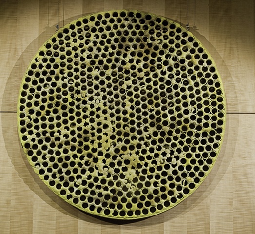 Hive - Ernest Jolly