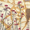 wallflowers