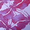 dragonflies in red