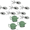 how many fish