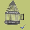 the possibility of flight