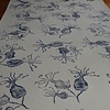 succulent blossom in silvery grey