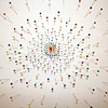 Radial Population (close up)