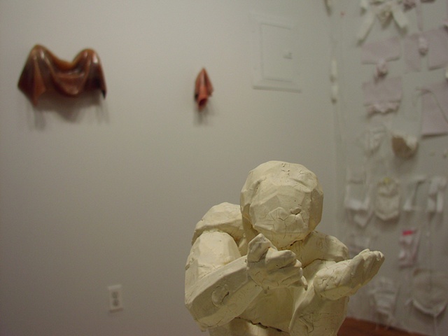 Contextualizing Formability 
11.14.09 - 01.10.10
opening reception November 14, 6-9pm
