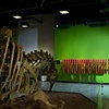 Sound Tubes: with dinosaur