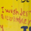 New Kidney