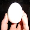 LED egg 1