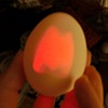 LED egg 2