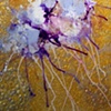 What Is It?