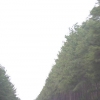 50 miles