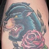 Panther - cover up - unicorn in there somewhere