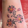 Cherry Blossoms on foot