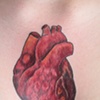 Heart on chest, beginning of chest piece