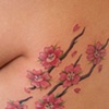 Nina's Cherry Blossoms