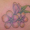 Hawaiian Flower