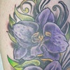 Coverup on Calf
