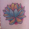 Lotus