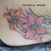 Hip tattoo - after we did a bit of touch ups - most of it is healed 