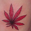 Red Leaf