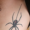 Black Widow