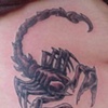 Scorpion on Ribs