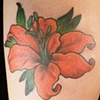 Lily