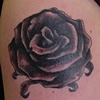 Ashley's Rose
