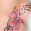 Flowers on Ribs