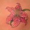 Lily
