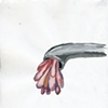 Pipe