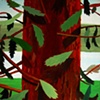 REDWOOD