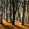 LINCOLN PINES