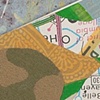 Cammo Egg