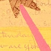 A Letter To The Flowers