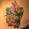 Arkansas tattoo