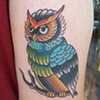 Tyler's owl