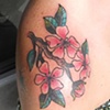 Anna's apple blossoms