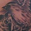 Black 'n Grey Bird tattoo