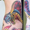Kevin's snake