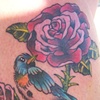 Bird and Rose