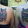 Owls together