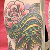 Kathryn's chameleon 