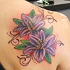 Erin's lilies