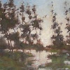 Shimmering Trees 18x24 (sold)