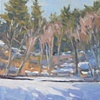 Williams Park 16x12