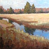 Marsh 20x20